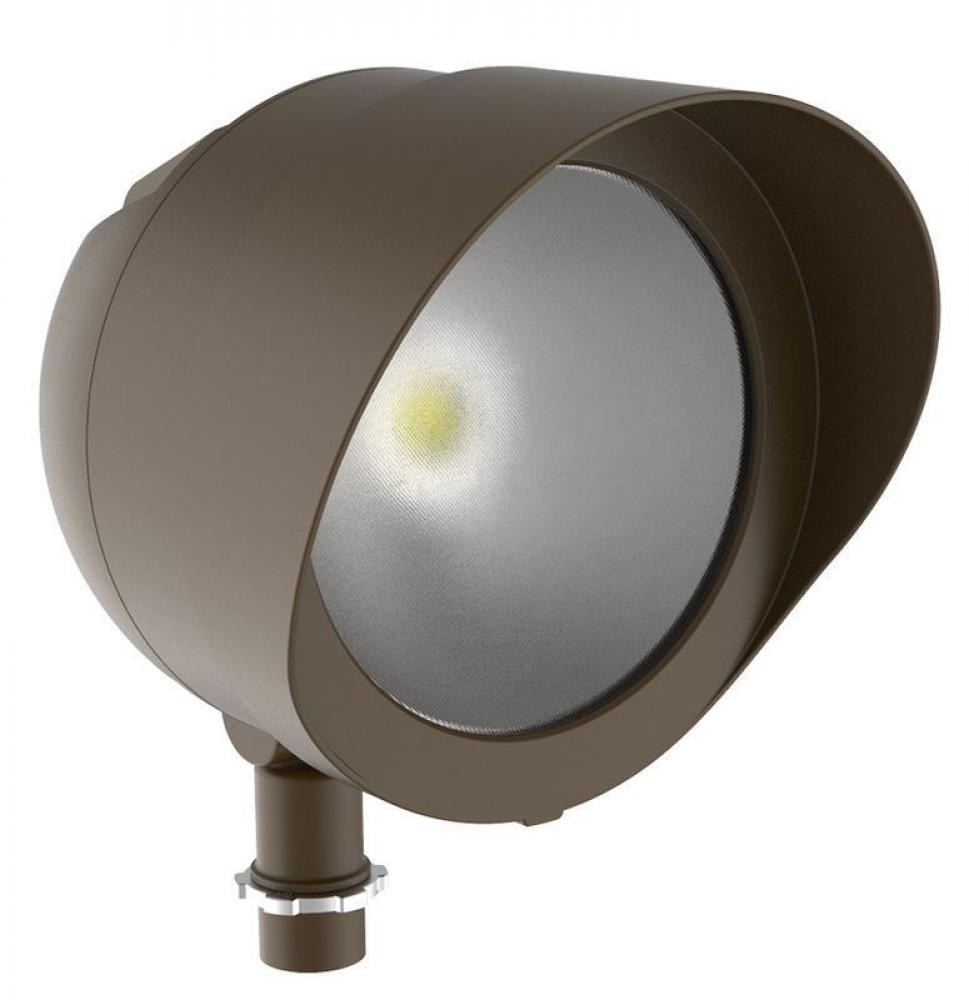 LED Flood Light